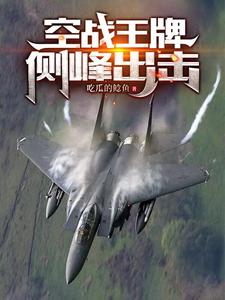 空军王牌ace开局一座全系机库免费